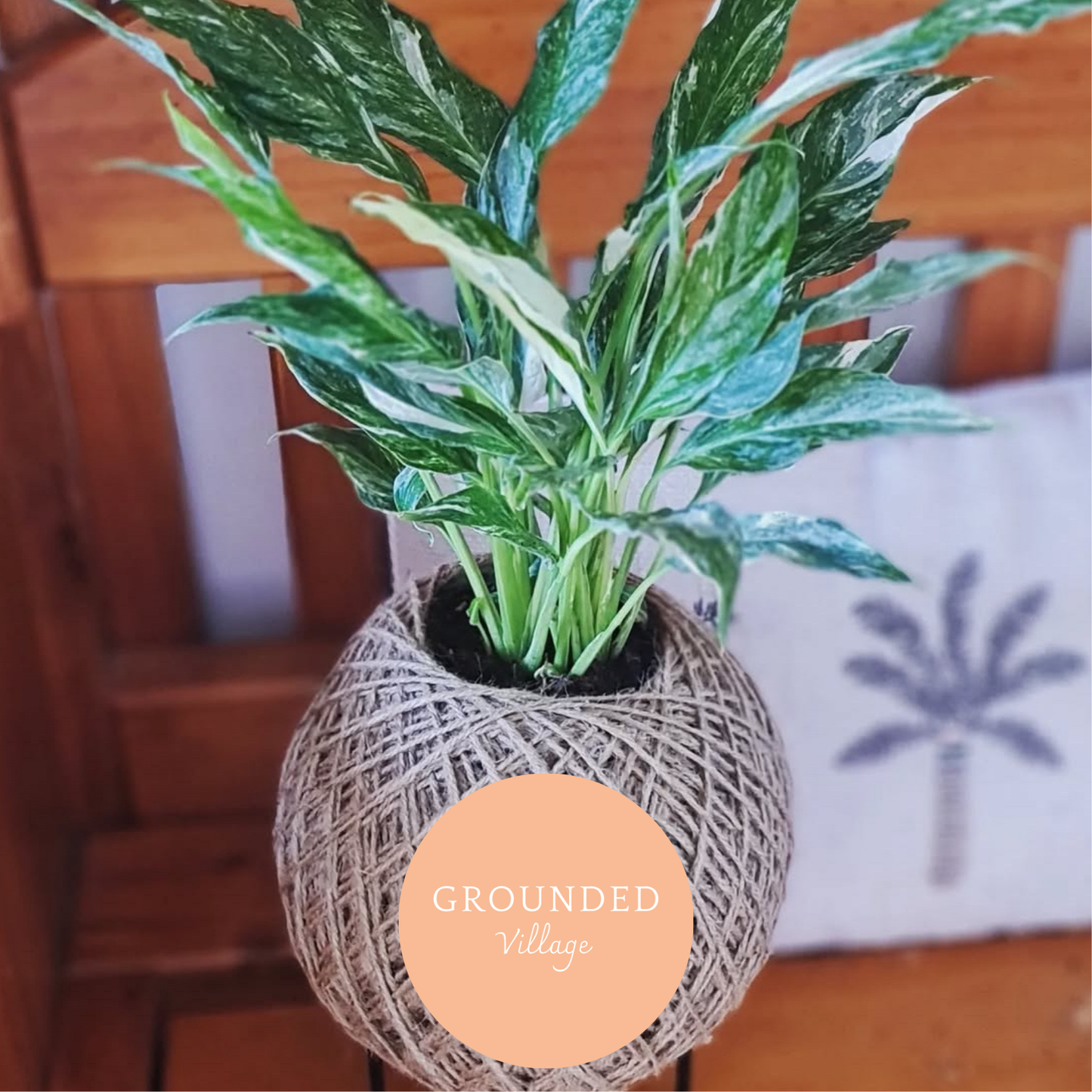 Kokodama plant workshop-