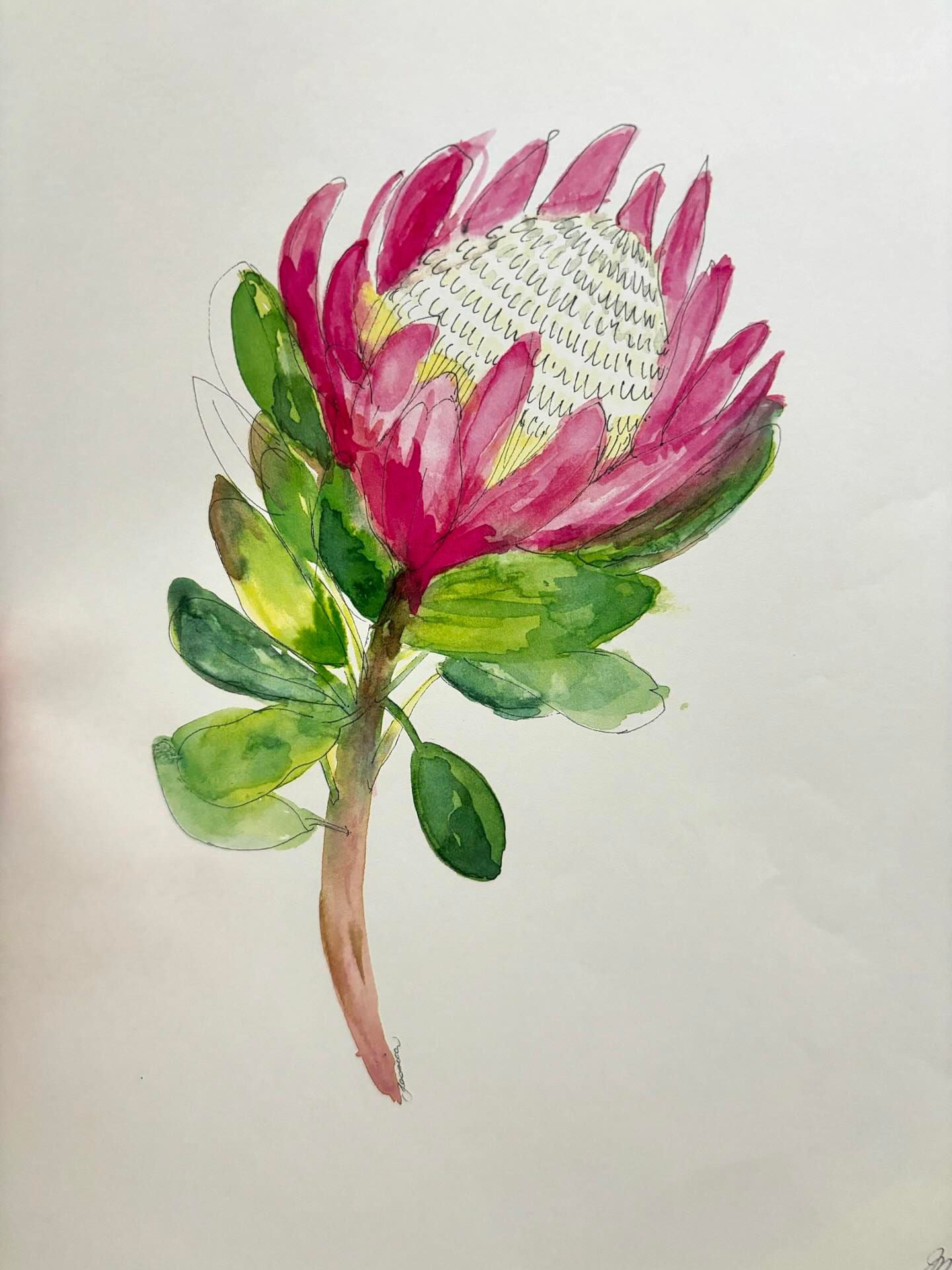 Drawing skills Term workshop- TERM 4