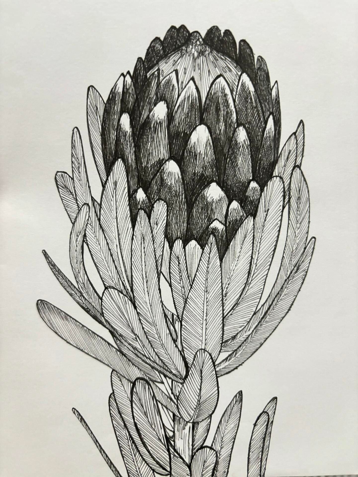 Drawing skills Term workshop- TERM 4