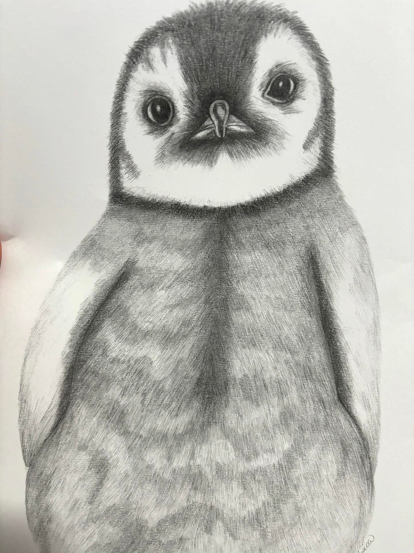 Drawing skills Term workshop- TERM 4