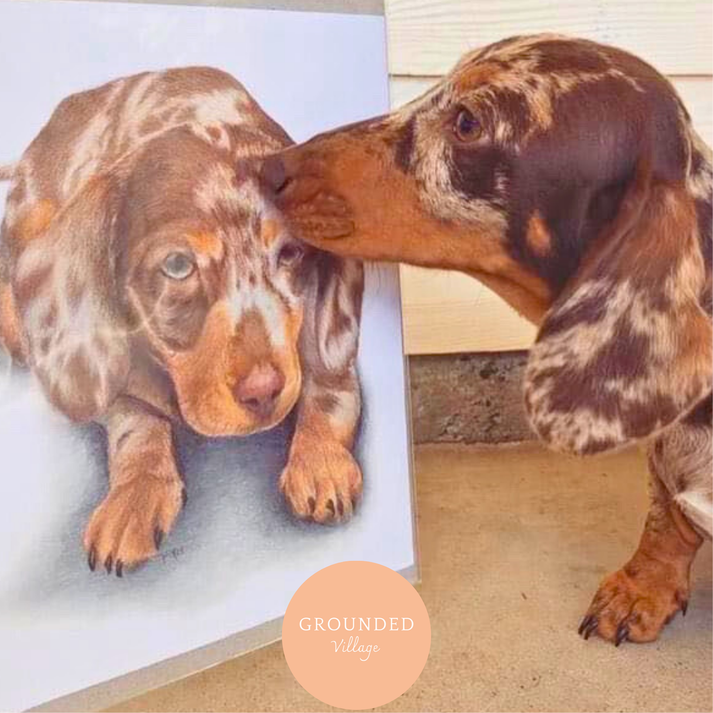 Life-like Animal portraits Drawing workshop- Sat 20th Sept