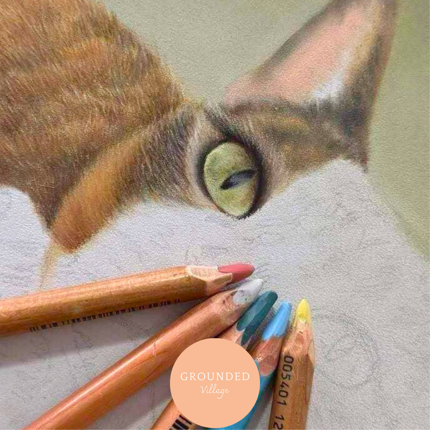 Life-like Animal portraits Drawing workshop- Sat 20th Sept