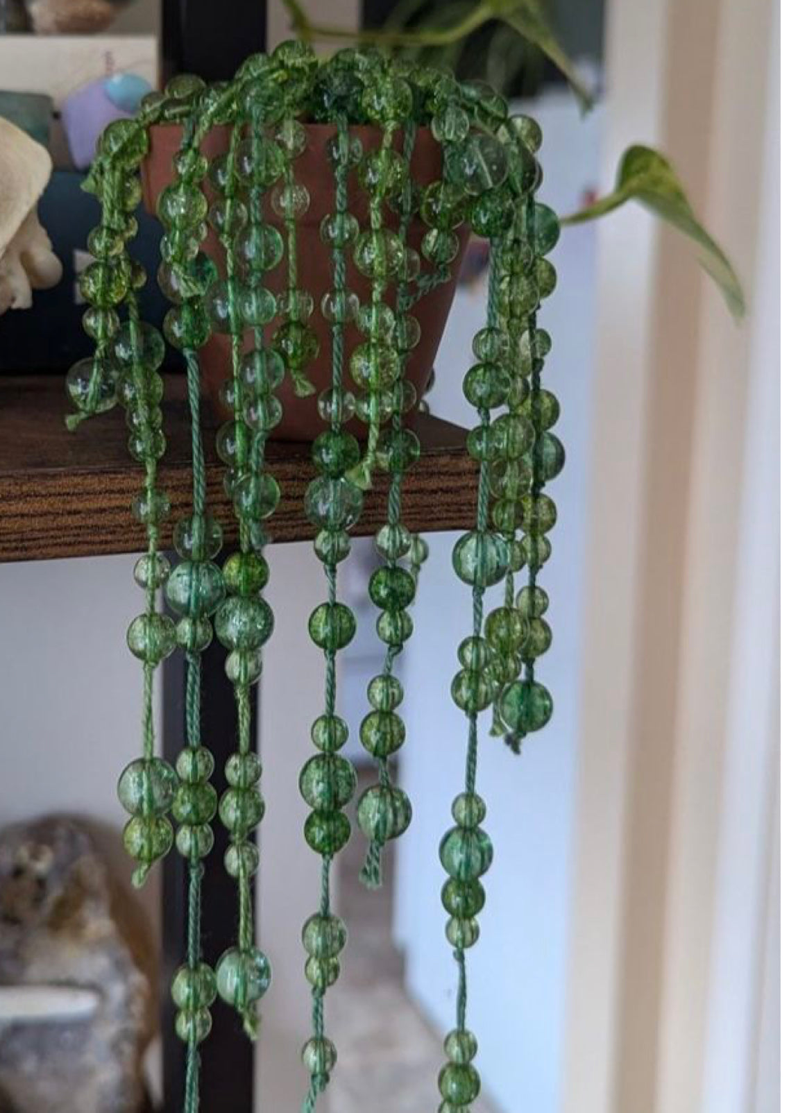 Beaded Succulent workshop -