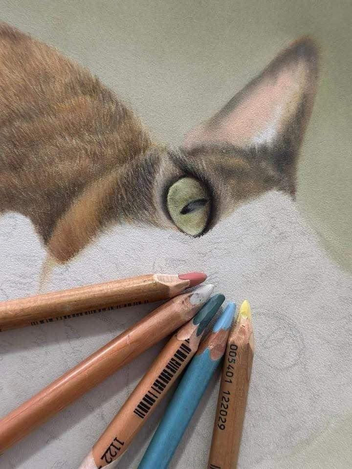 Life Drawing Art class- Starts Oct