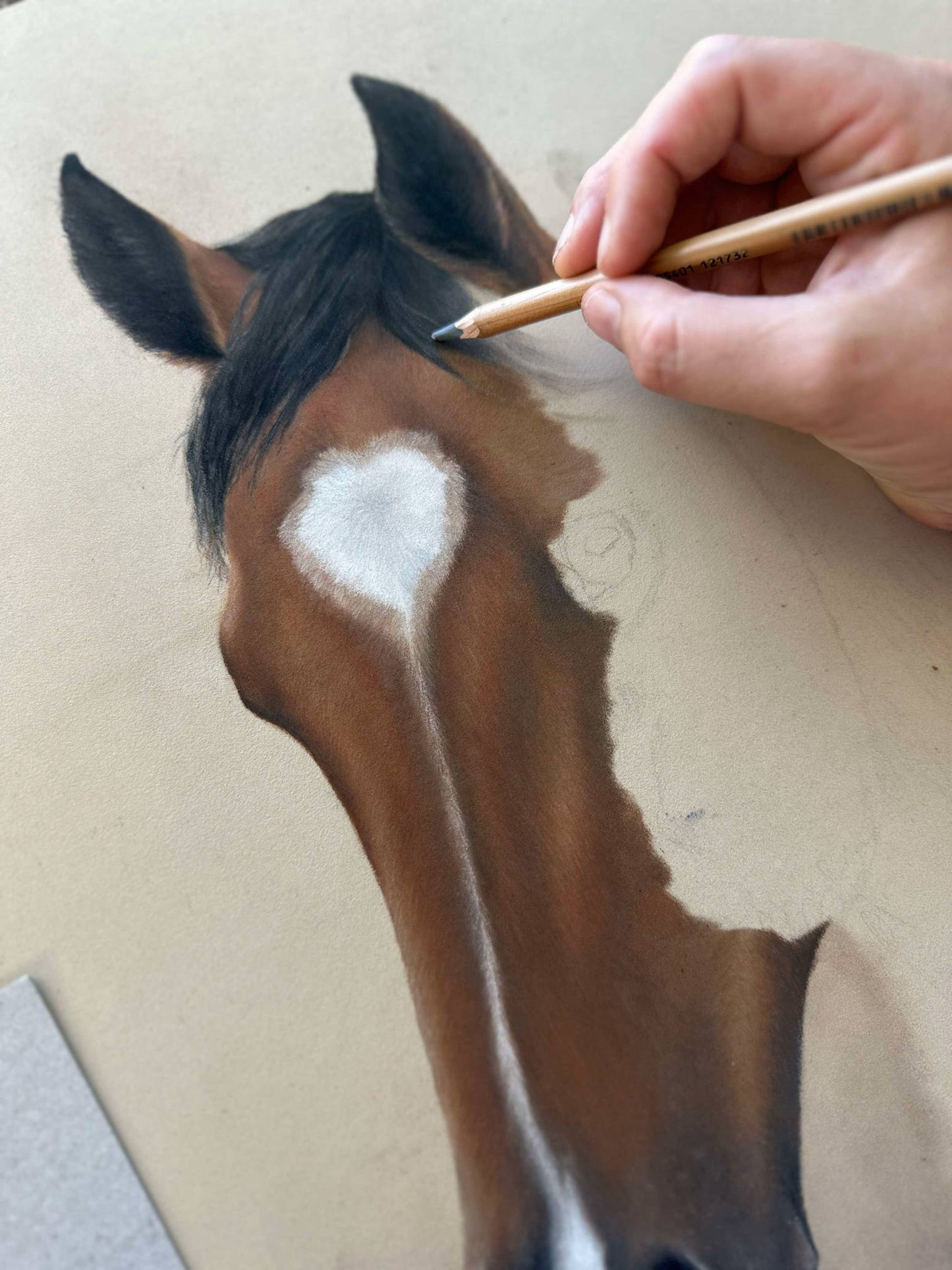 Life Drawing Art class- Starts Oct