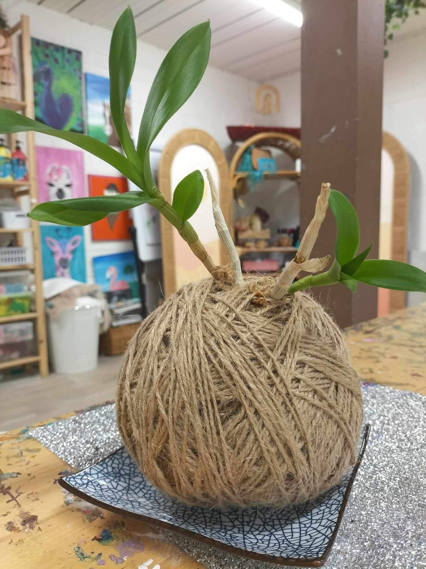 Kokodama plant workshop-