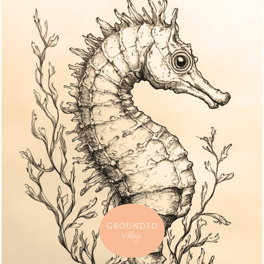 Ocean Animals  Drawing Techniques - Thurs 2nd July
