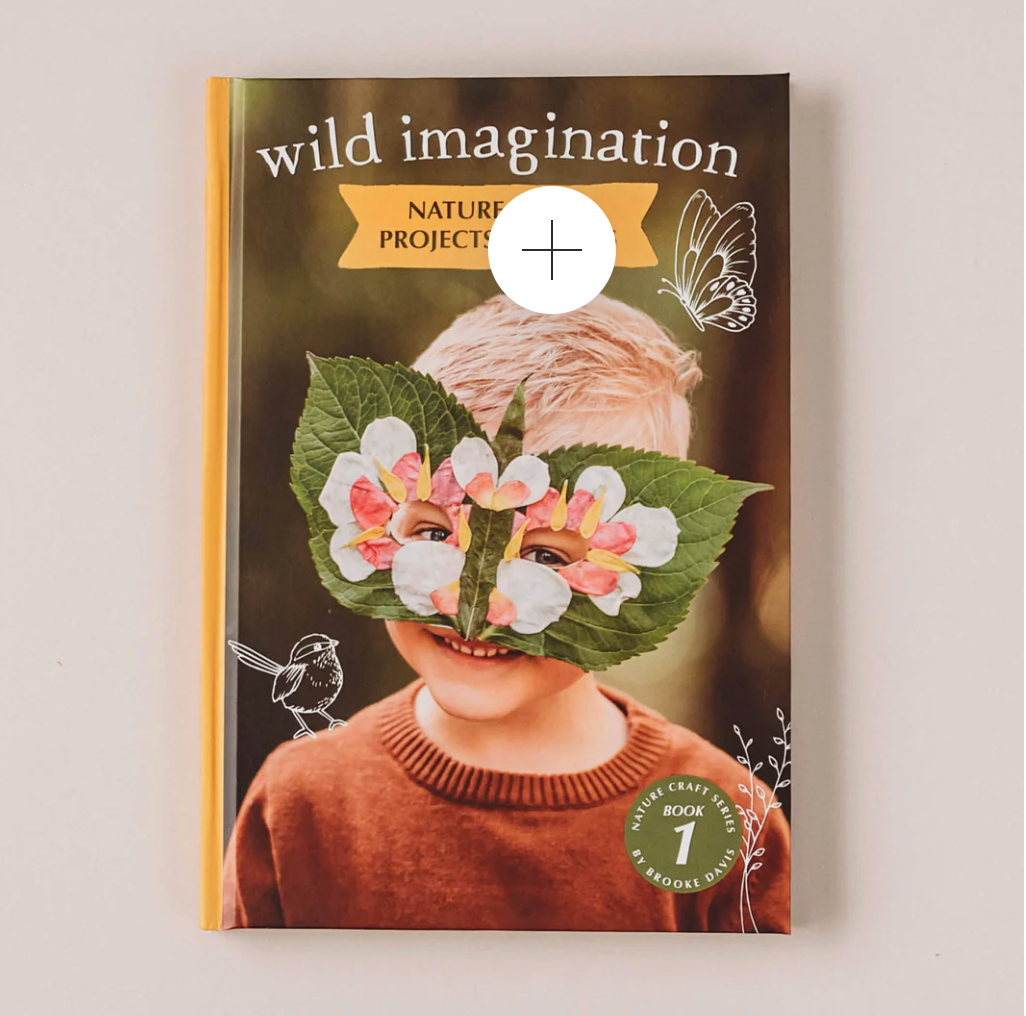 Wild Imagination - Book 1