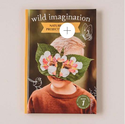 Wild Imagination - Book 1
