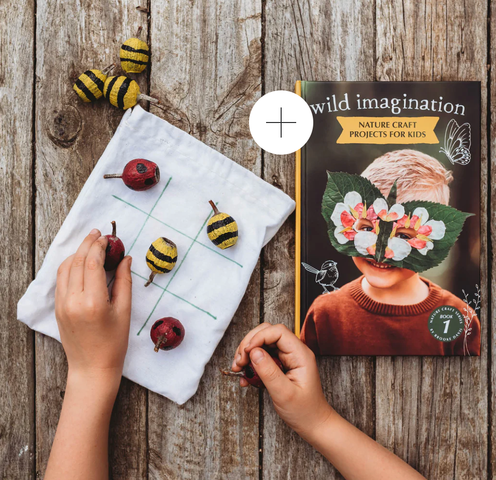 Wild Imagination - Book 1