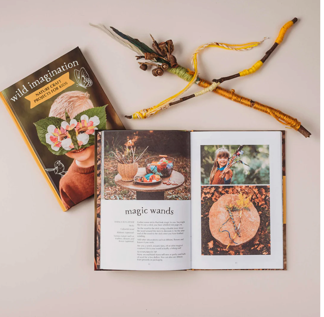 Wild Imagination - Book 1