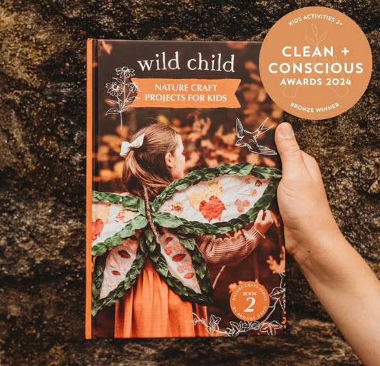 Wild Imagination - Book 2